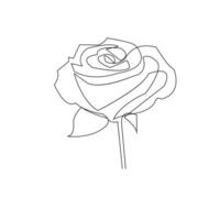 Rose flower sketch in one line drawing style for minimalist art vector