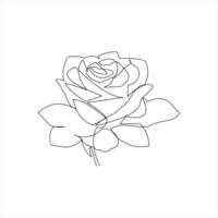 Simple and elegant rose flower in continuous line style vector