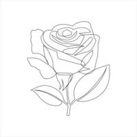Hand drawn rose in one line art style on white background vector