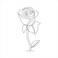 Minimal single line drawing of rose flower with elegance vector