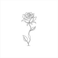 Modern single line rose flower sketch in minimal design vector