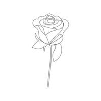 Rose flower illustration using modern one line minimalist style vector