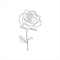 Minimalist rose flower in simple continuous line hand drawn style vector