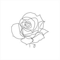 Abstract rose flower outline in single line minimalist drawing vector