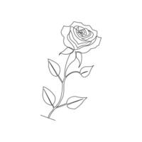Continuous line artwork of rose flower in abstract minimalist form vector