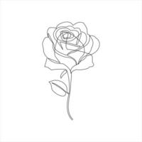 Continuous one line rose flower illustration in modern style vector