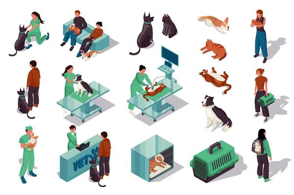 Vet clinic 3d isometric set. Collection isolated flat elements of veterinary doctor diagnostic, x-ray, animal hospital, dogs and cats, treatment, grooming service, carrying more. illustration.