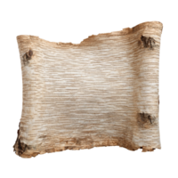 Ancient birch bark scroll for writing and nature-inspired design projects png