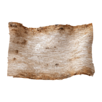Antique birch bark scroll for ancient writing and natural craft projects png
