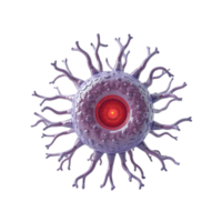 Abstract Cell Structure with Red Core and Branching Appendages on Transparent Background png