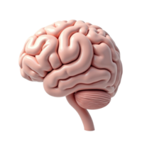 Anatomical 3D rendering of a human brain isolated on a black background for scientific study png