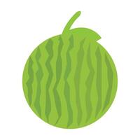 Green watermelon with stripes and a leaf isolated on white background vector