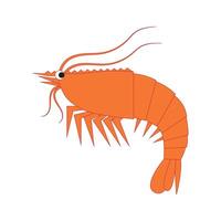 Shrimp logo. Isolated shrimp on white background. Prawns symbol. vector