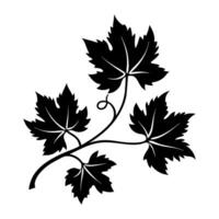 Silhouette of Grapevine on white background vector