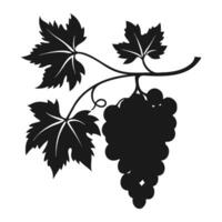 Bunch of grapes on branch with leaves, dark silhouette of grapes on white background. vector