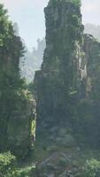 CGI A cluster of rocks surrounded by trees in a tranquil forest setting video