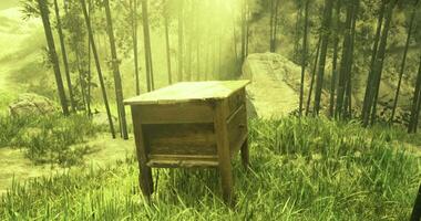 CGI Litter obstructs a remote dirt road in a deserted landscape during midday video