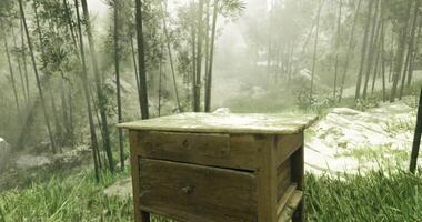 CGI Wood furniture placed in a serene forest with shafts of sunlight shining video