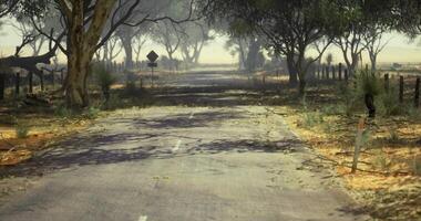 CGI Lonely rural road lined with trees in a serene nature setting during daytime video