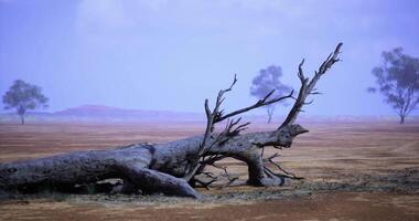 CGI Dry landscape featuring a fallen tree and sparse vegetation in a remote area video