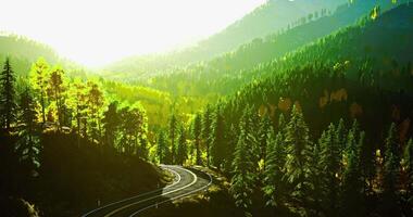 CGI Scenic view of winding railway through lush green hills and vibrant trees video