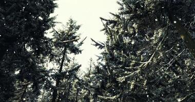 CGI Mountain peak view with dense forest in a serene landscape setting video