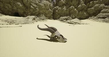 CGI Desert landscape featuring a ram skull resting on sandy ground video