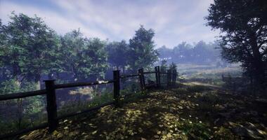 CGI Walking path through a serene forest landscape in soft morning light video