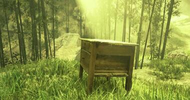 CGI Wooden table in a serene forest clearing surrounded by tall greenery video