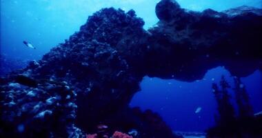 CGI Exploring vibrant underwater coral reefs in a deep ocean ecosystem video