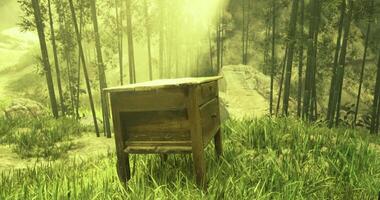 CGI Wooden table placed in a serene natural environment surrounded by greenery video