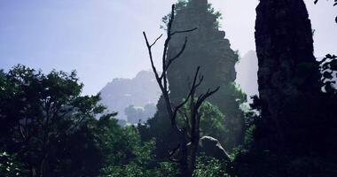 CGI Majestic mountain landscape featuring lush greenery and rocky formations video