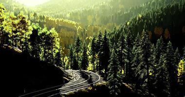 CGI Sunlight filters through trees along winding railway tracks in serene forest video