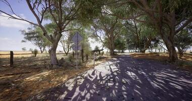 CGI Rural road surrounded by trees on a sunny day in an open landscape video