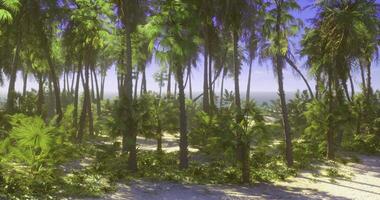 CGI Lush tropical paradise filled with palm trees and vibrant greenery by the ocean video