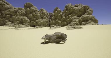 CGI Desert landscape with a fossilized animal skull under a clear blue sky video