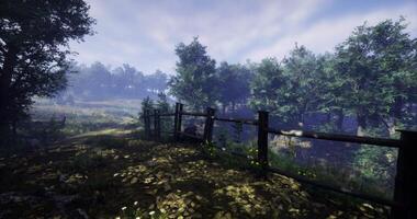 CGI Relaxing nature trail with autumn leaves and lush greenery in bright daylight video