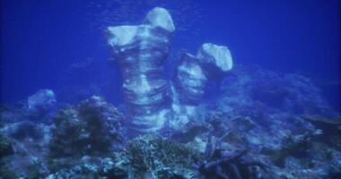 CGI Underwater exploration reveals unique coral formations in vibrant sea video