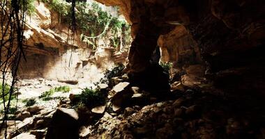 CGI Exploring a stunning underground cave with lush vegetation and rock formations video