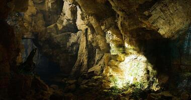 CGI Exploring the mysterious depths of a sunlit cave surrounded by nature video