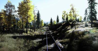 CGI Sunlight filters through trees along a peaceful railway track in nature video