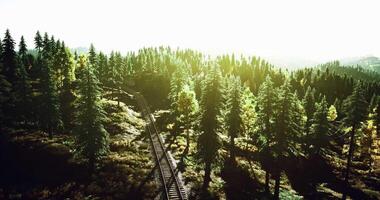 CGI Scenic view of forest and railway track bathed in sunlight at golden hour video