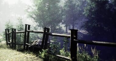 CGI Wooden fence along a serene path bordered by lush trees and a peaceful stream video