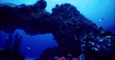 CGI Underwater coral reef with diverse marine life in a vibrant ocean setting video