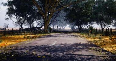 CGI Winding rural road surrounded by lush trees and dusty landscape video