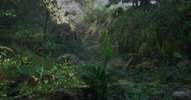 CGI Sunlight filters through dense foliage in a vibrant rainforest video