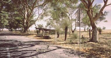 CGI Abandoned rural road surrounded by trees in a dry landscape during midday video