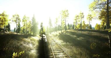 CGI Railway tracks surrounded by sunlight and trees in a peaceful setting video