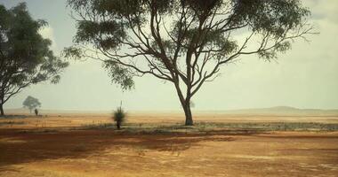 CGI Expansive desert landscape with sparse vegetation under cloudy sky video