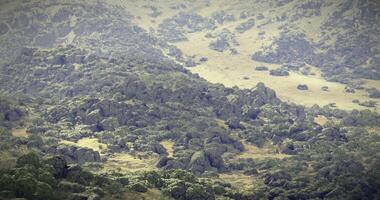 CGI Vast rocky landscape with vegetation under soft sunlight video